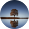 #psicóloga online; #psicología; #terapia; #psicoterapia; #ayuda psicológica